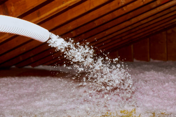 Insulation Inspection Services in Chenango Bridge, NY