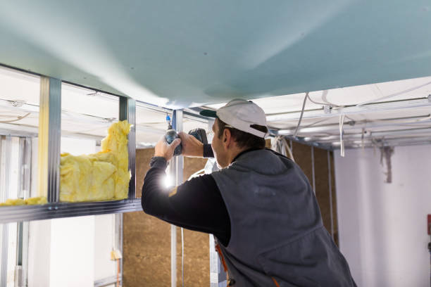 Best Spray Foam Insulation  in Chenango Bridge, NY