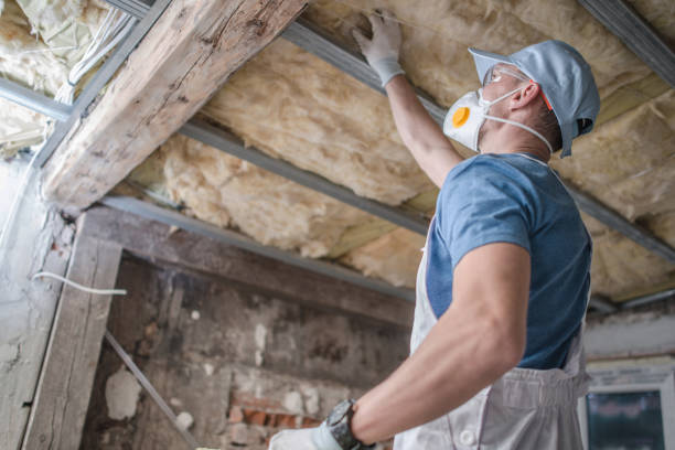 Best Insulation Repair Services  in Chenango Bridge, NY