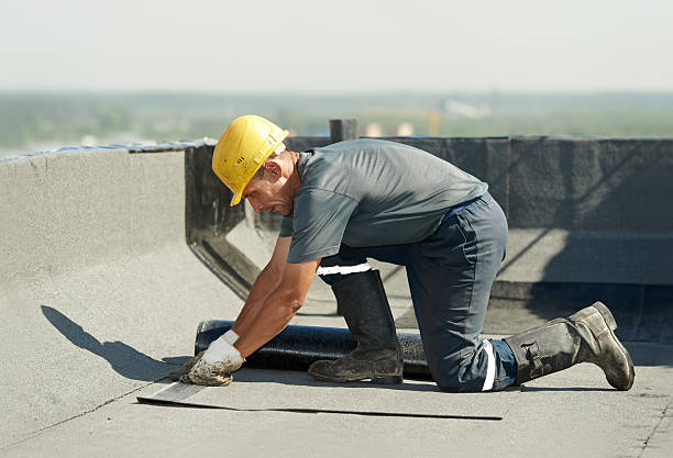 Best Insulation for New Construction  in Chenango Bridge, NY